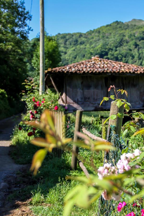 Casa Clarita Villa Cano Luaran gambar